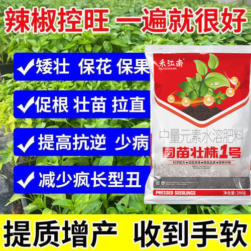 辣椒控旺药辣椒矮壮素防徒长疯长矮化植株保花保果高产正品控旺剂