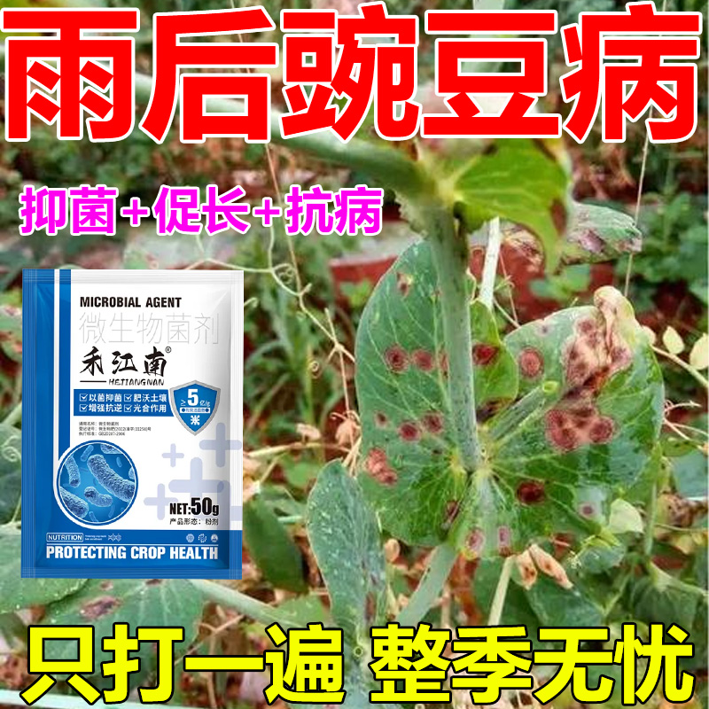 豌豆专用药豌豆病全治烂根白粉病菌核病软腐霜霉病灰霉专用杀菌剂