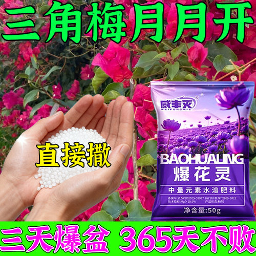 治不开花】三角梅开花专用肥促花爆花复合肥营养液植物速效开花粉