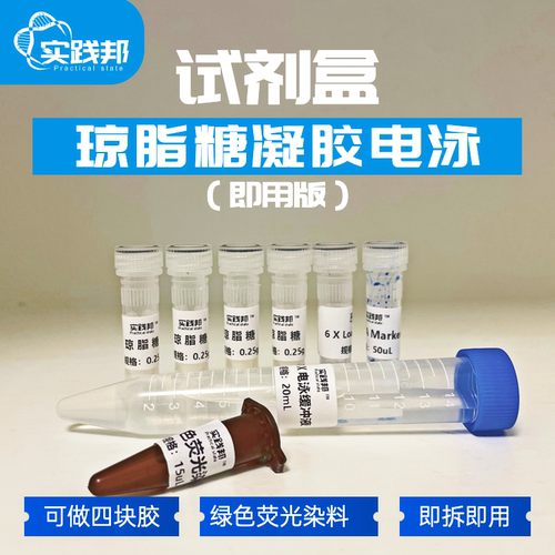 高中生物DNA片段扩增电泳鉴定琼脂糖凝胶电泳核酸染料Marker试剂