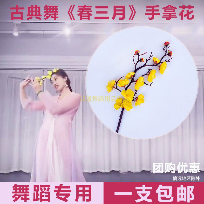 春三月剧目古典舞红梅真花舞蹈