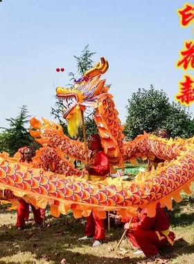 道具整套耍龙灯牛津烫金龙国标