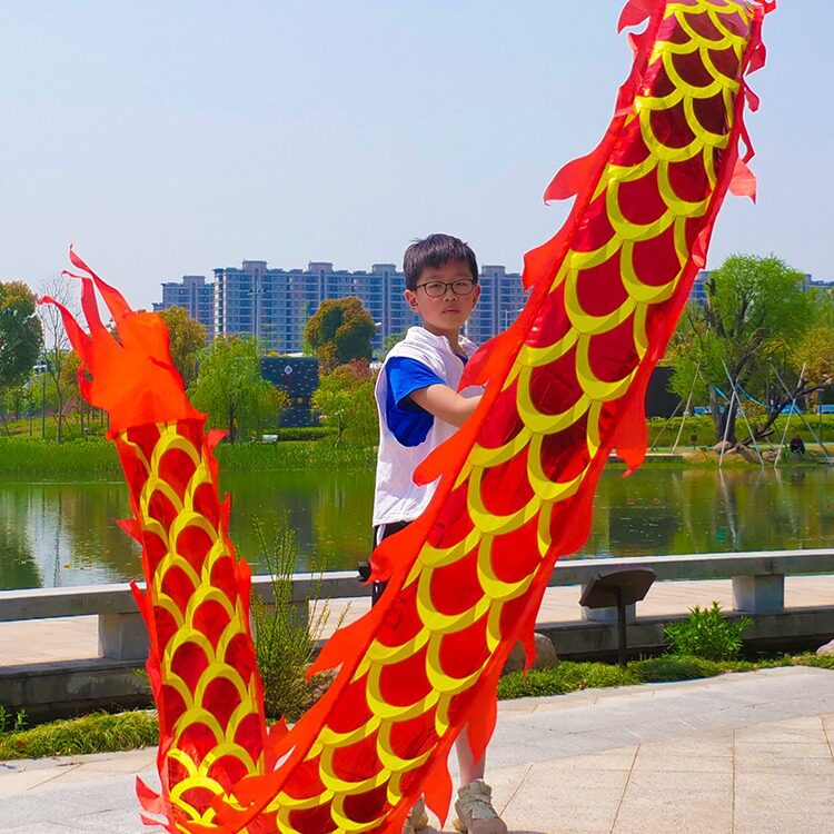儿童学生广场手舞龙彩带健身龙带