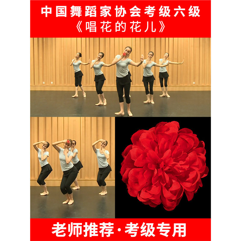 中国舞蹈家协会六级唱花儿指花