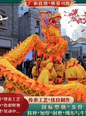 舞龙社火道具节日喜庆演出舞狮