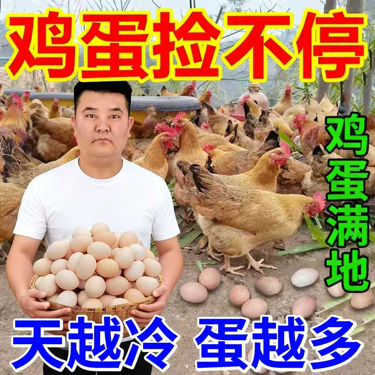 芦丁鸡禽用蛋多多产蛋灵增蛋宝鸡鸭鹅软壳蛋兽用鸽子鹌鹑蛋满窝