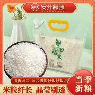蟹田稻米5斤装猫牙米2024新粮丝苗米小袋带盖米小袋出租屋