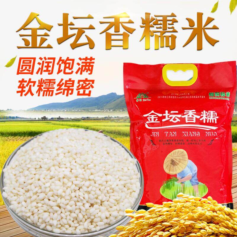 农科院金坛香糯米2.5千克/袋粳糯米圆糯米包粽子饭团酒酿糯米新鲜