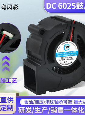 DC6025鼓风机12V液压空气净化器脱毛仪机器人LED灯散热鼓风机