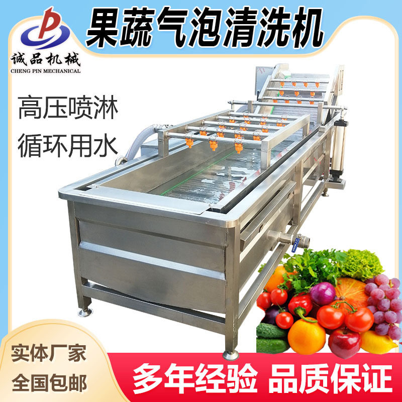 定制喷淋式气泡清洗机芹菜豆芽西红柿洗菜机苹果秋梨毛桃洗果机