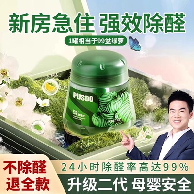 除甲醛神器新房急入住家用