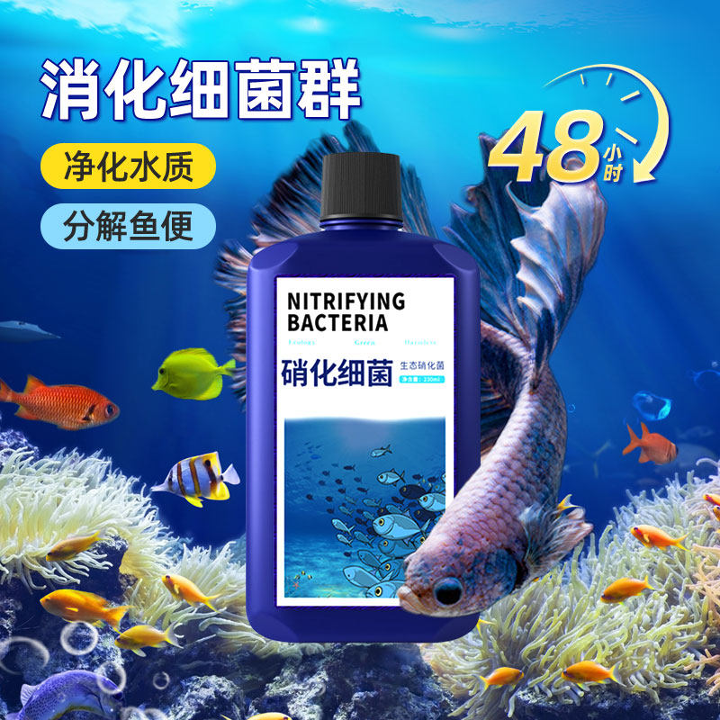 硝化细菌鱼缸专用净水剂水族消化细菌鱼用净化水质活菌液分解鱼便