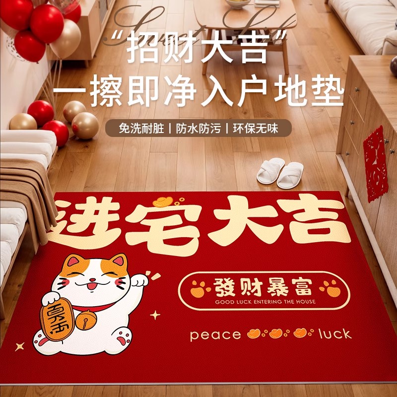 入户门地垫进门垫pvc免洗加厚