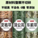 车前草夏枯草蒲公英中药材正品 泡水鸡蛋 泡茶组合茶包独立车钱包装
