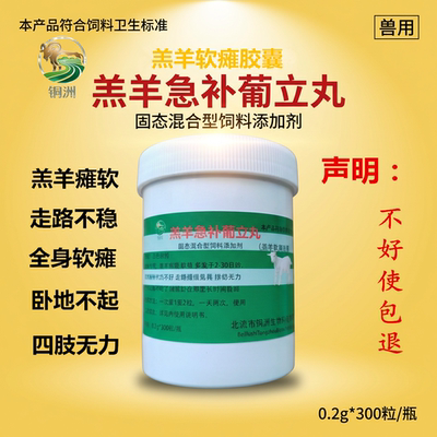 半月瘫软灵软瘫羔羊起不来不会走小羊瘫软灵站不稳羔羊软瘫羊羔用