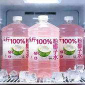 无添加剂0色素 100%粉椰子水NFC天然电解质含钾五斤装 买一送一