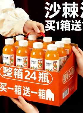 新春特惠沙棘汁整箱360ml*24瓶整箱VC沙棘汁厂家直销特价批发酸甜
