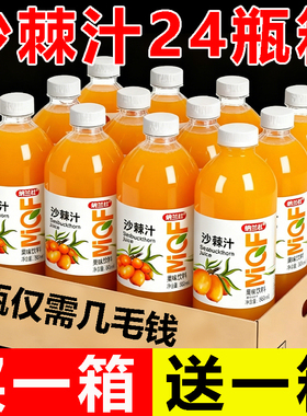 沙棘汁整箱24瓶装商超爆款VC沙棘汁厂家直销特价批发酸甜好喝饮料