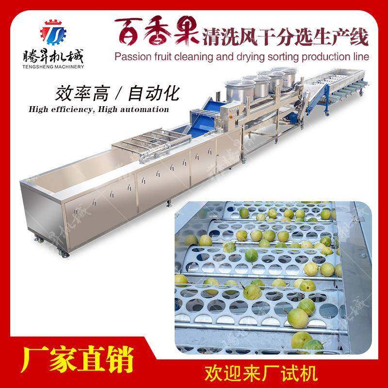 全自动果蔬加工生产线 不锈钢清洗风干机械 果汁饮料生产线