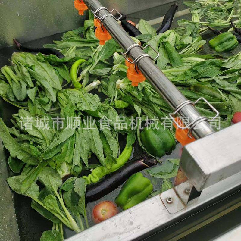 现货供应不锈钢气泡清洗机白菜喷淋清洗清洗机价格果蔬清洗机