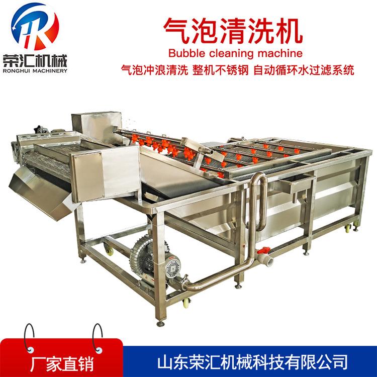 气泡式水果清洗机 供应翻浪式红枣清洗机设备 多功能洗菜机