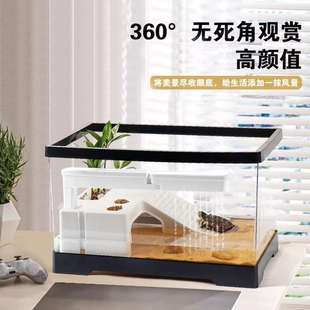 乌龟饲养缸可冬眠养殖大号乌龟饲养缸专用造景客厅办公生态龟箱
