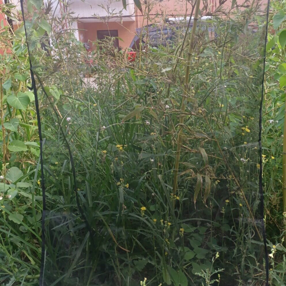 货车水箱网工程车玻纤阻