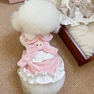 比小奶狗更软呼~の冬裙小体约克夏秋装泰迪公主风布偶猫咪厚棉衣