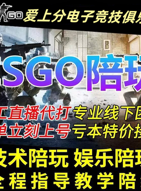 CSGO代练完美世界天梯上分定级赛5E代打cs2官匹定位胜场陪玩陪练