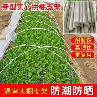新型农用小拱棚支架菜棚保温棚育苗拱杆黄瓜豆角爬藤杆弹力棒实心
