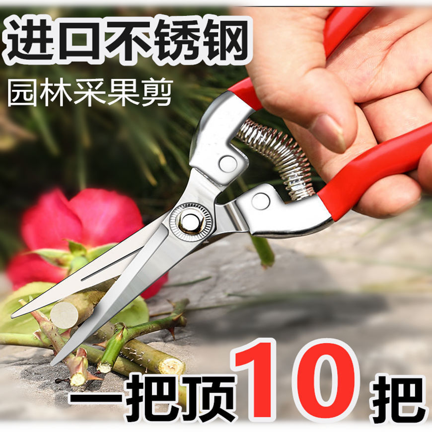 进口不锈钢摘果剪园艺剪刀修枝剪葡萄火龙果剪采摘花椒神器专用剪