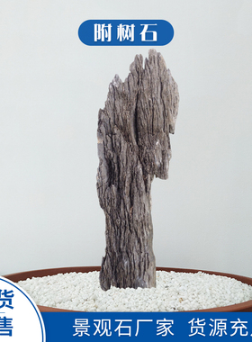 英德石附树石造景长条石盆景天然树抱石绿植花盆鱼缸装饰桌面摆件