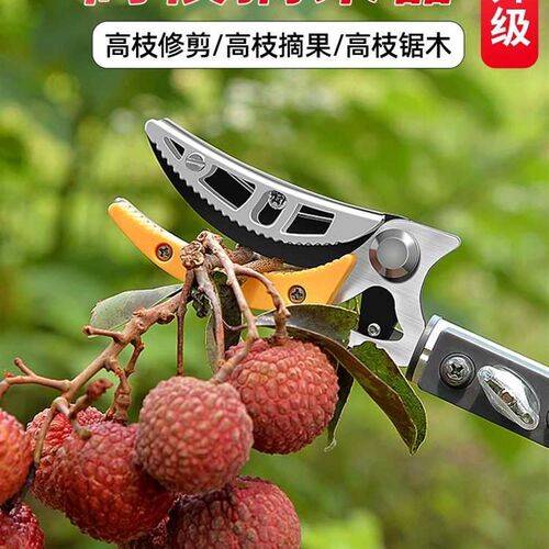 。摘果神器修枝剪伸缩高摘空水果剪刀加长L采摘器荔枝枇杷龙眼高