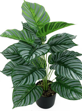 大18头彩芋叶硕叶凤尾叶龟背叶滴水观音仿真绿植盆景户外装饰盆