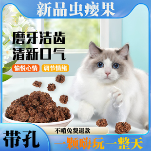 虫瘿果猫咪玩具木天蓼磨牙棒洁齿耐咬解闷神器幼猫小猫自嗨用品