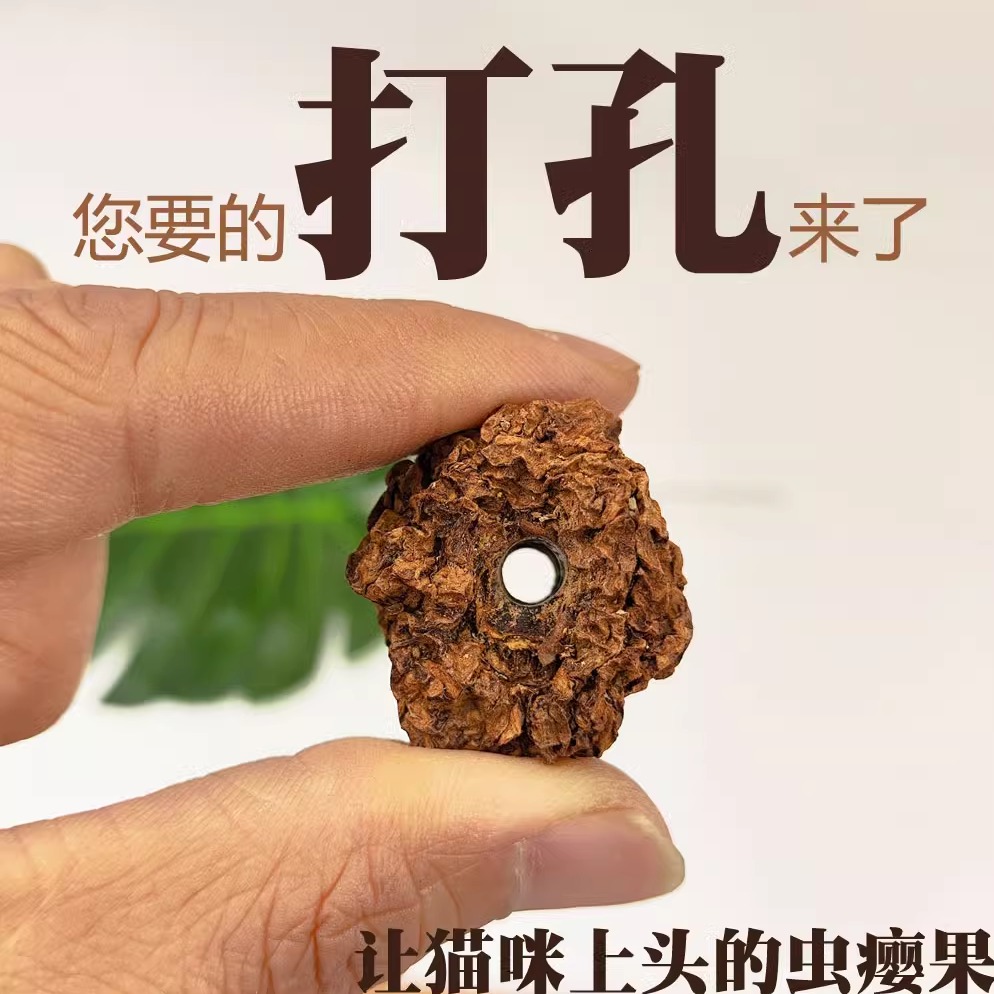 虫瘿果颗粒打孔MAJACAT新品上架