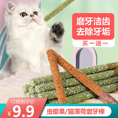 猫薄荷虫瘿果磨牙棒不吃饱退