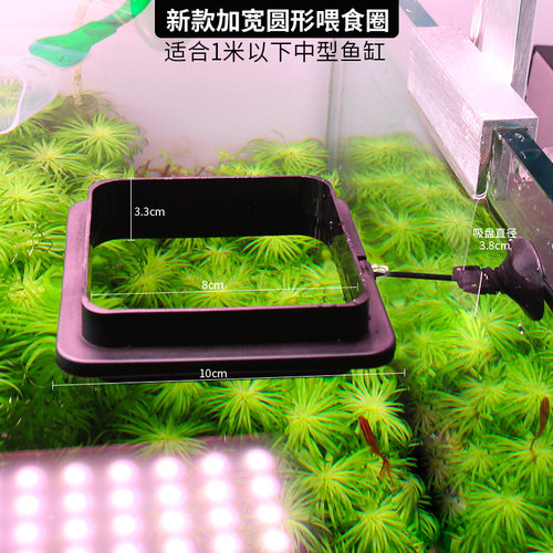 喂食圈投食鱼食鱼缸大型大号悬浮力金鱼防飘散亚克力小鹏说水族
