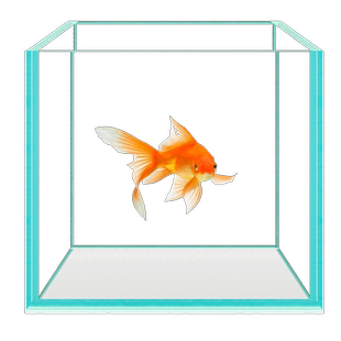 超白玻璃鱼缸金晶五线3030方缸方形斗鱼小型鱼缸正方形20方缸