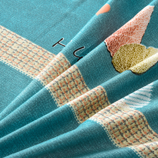 磨毛加厚床裙款 床上用品 四件套女士一米五单独床罩套单件2.0m裙式