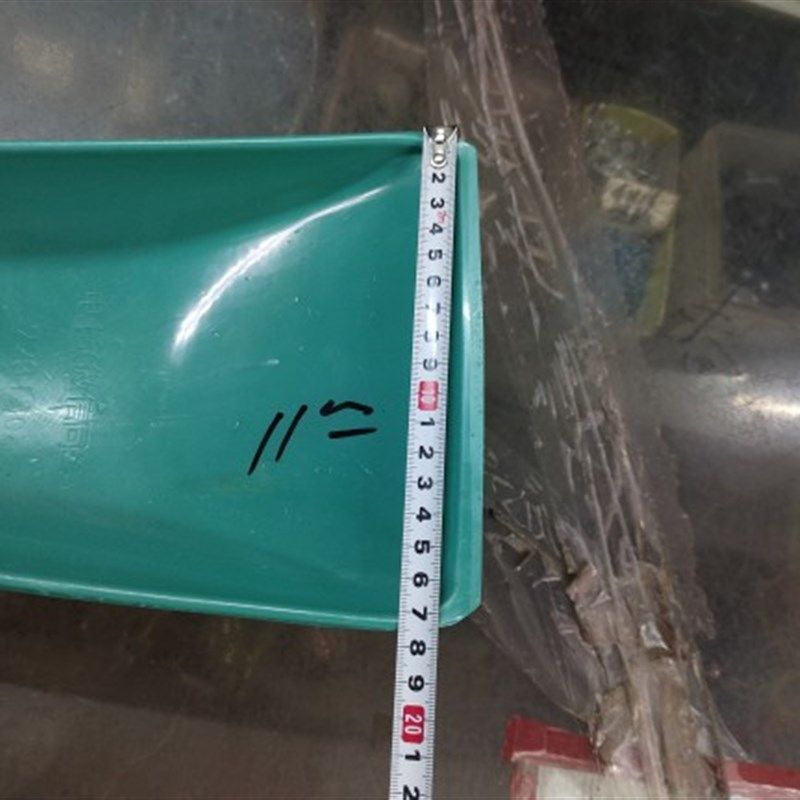 何耀辉舀水瓢漂流水瓢打仗用瓢装备神器泼瓢水壳大号泼料壳划拌料,宠物/宠物食品及用品,其它水族用具设备,淘宝优惠券,粉丝福利购,淘宝优惠卷