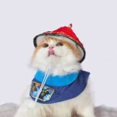 扮中小型通用款 宠物创意宫廷风COS装 扮皇后娘娘贴身小李子搞怪装