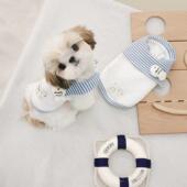 小型犬狗狗衣服 卡通背心网红夏季 狗狗衣服春秋款 ins卡通居家薄款