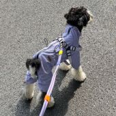 新款 洋气小狗帅气可牵引狗狗超萌宠物专用户外防风外出衣服冲锋衣