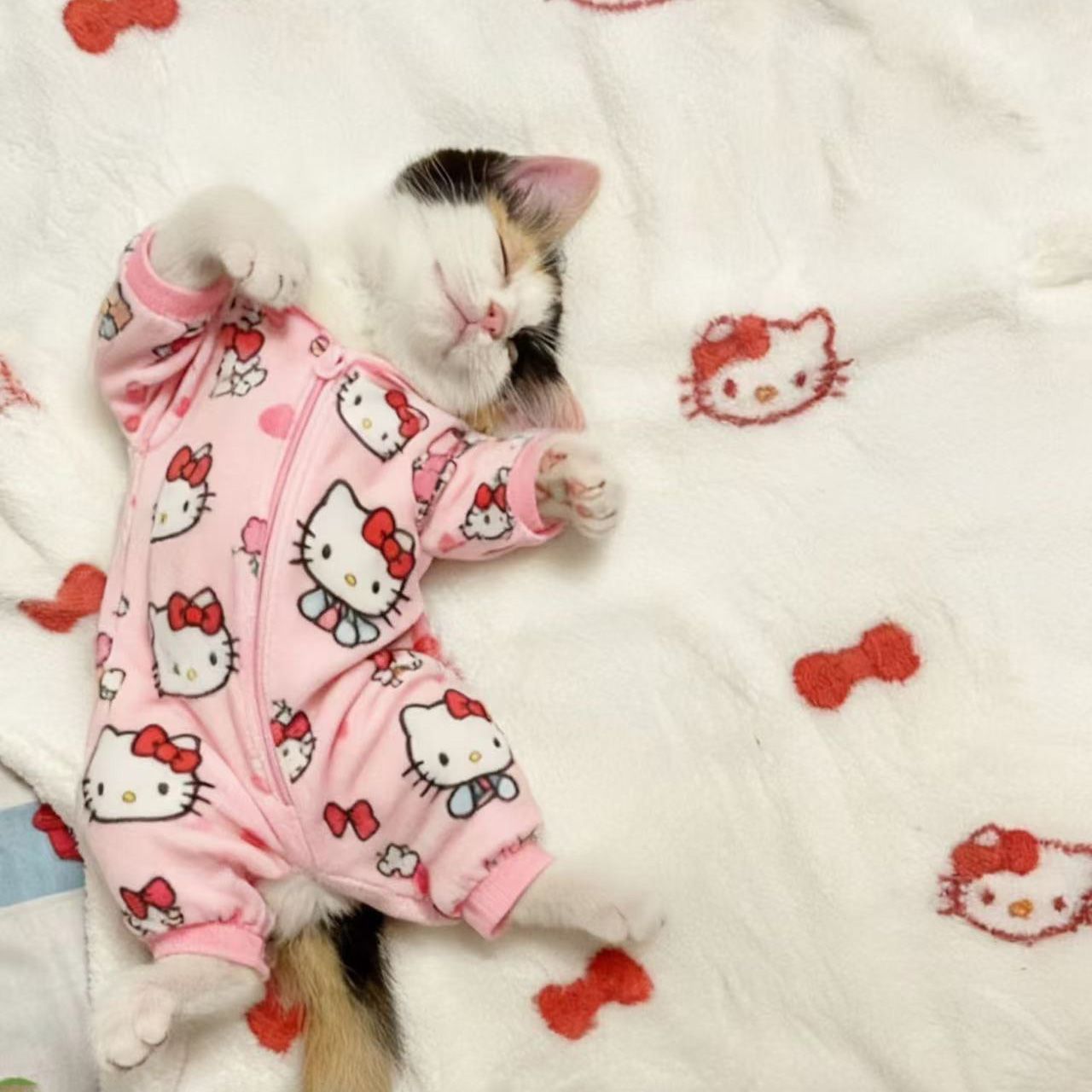 猫咪狗狗可爱保暖睡衣猫新款家居舒适四脚款幼犬通用超萌四脚防寒
