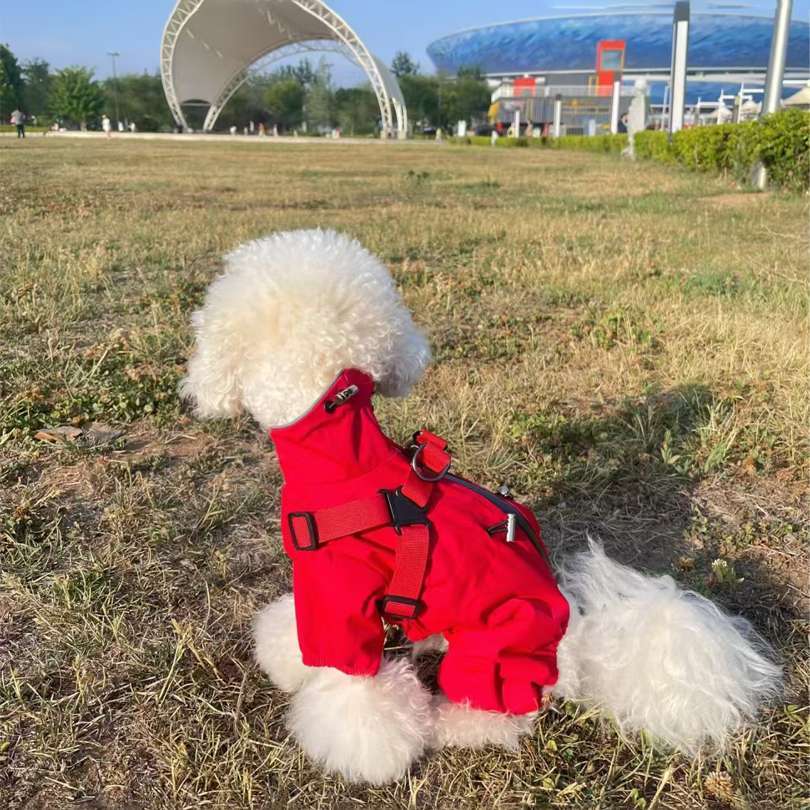 新款洋气小狗帅气可牵引狗狗超萌宠物专用户外防风外出衣服冲锋衣