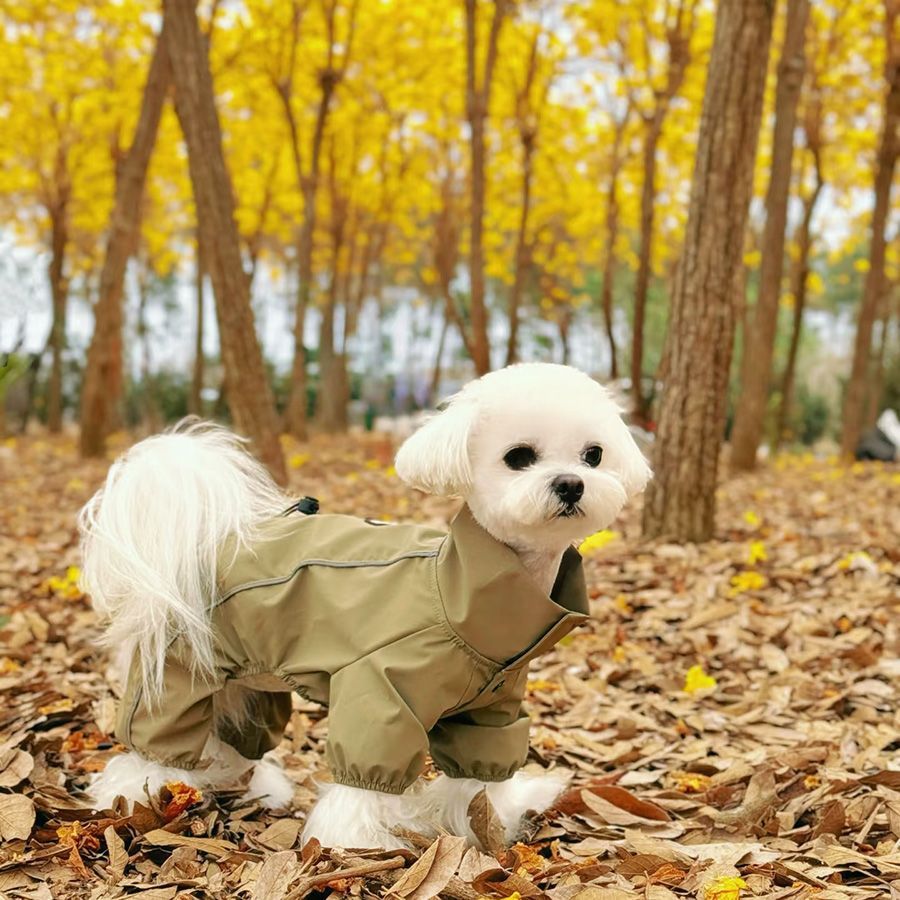 秋冬款狗狗衣服四脚可爱外出加绒泰迪博美秋冬款防尘防泼保暖冲锋