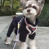 打底衫 小狗狗衣服秋冬款 四脚衣雪纳瑞马尔济斯泰迪博美比熊春秋季