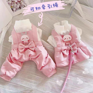 狗狗衣服秋冬款超萌雪纳瑞小型犬可爱公主裙冬天加绒保暖背带裤