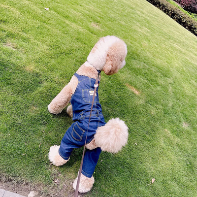 狗狗衣服中大型犬衬衫春夏薄款防掉毛夏装洋气帅气同款狗狗背带裤